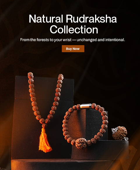 Rudraksh (1)