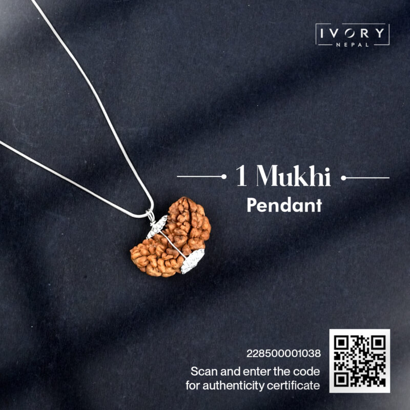 1 Mukhi Rudraksha Pendant - Image 3