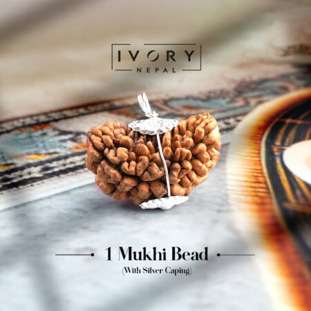 1 Mukhi Rudraksha Pendant