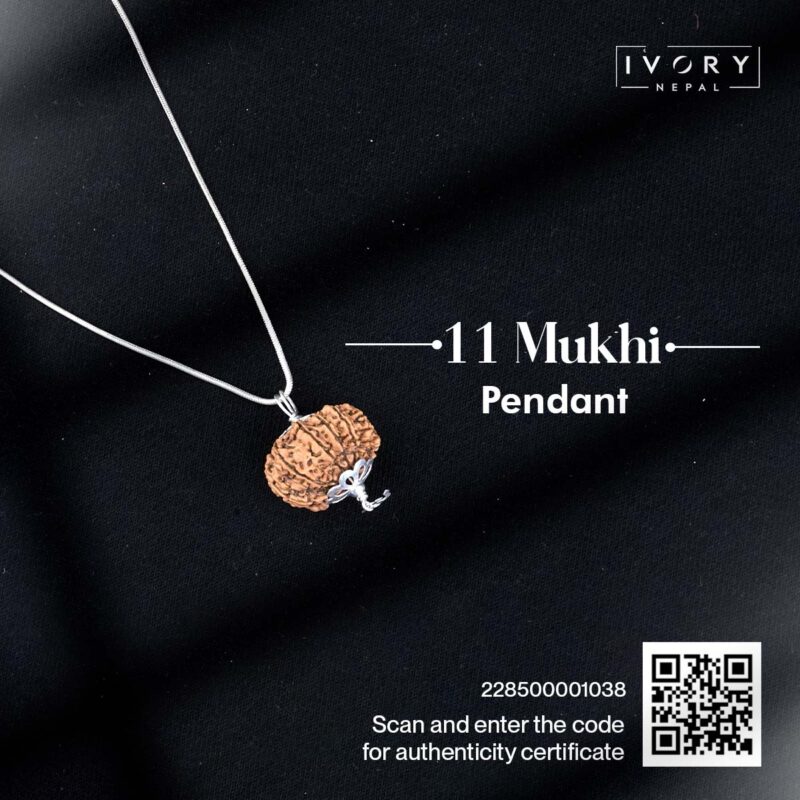 11 Mukhi Rudraksha Pendant - Image 3