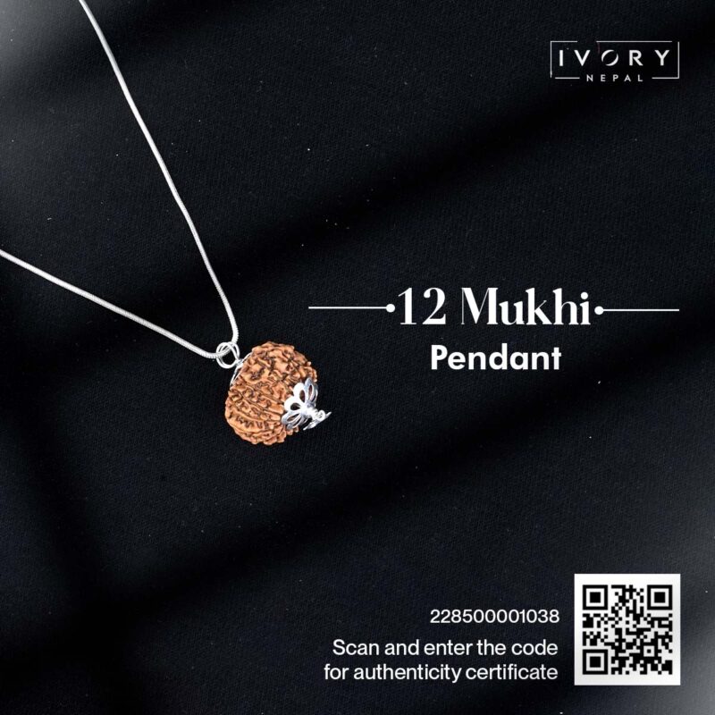 12 Mukhi Rudraksha Pendant - Image 3