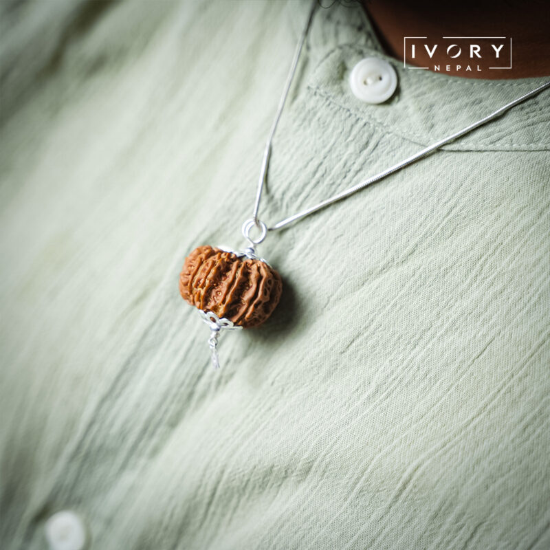 14 Mukhi Rudraksha Pendant - Image 2