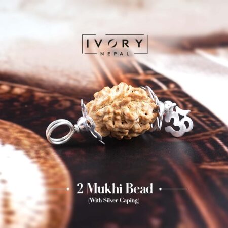 2 Mukhi Rudraksha Pendant