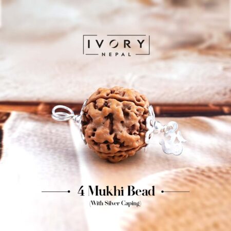 4 Mukhi Rudraksha Pendant
