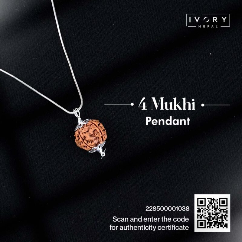 4 Mukhi Rudraksha Pendant - Image 3
