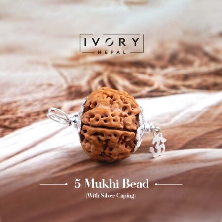 5 Mukhi Rudraksha Pendant