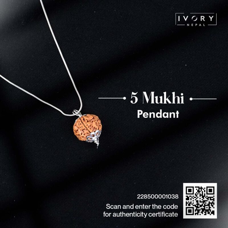5 Mukhi Rudraksha Pendant - Image 3