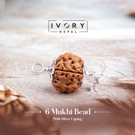 6 Mukhi Rudraksha Pendant