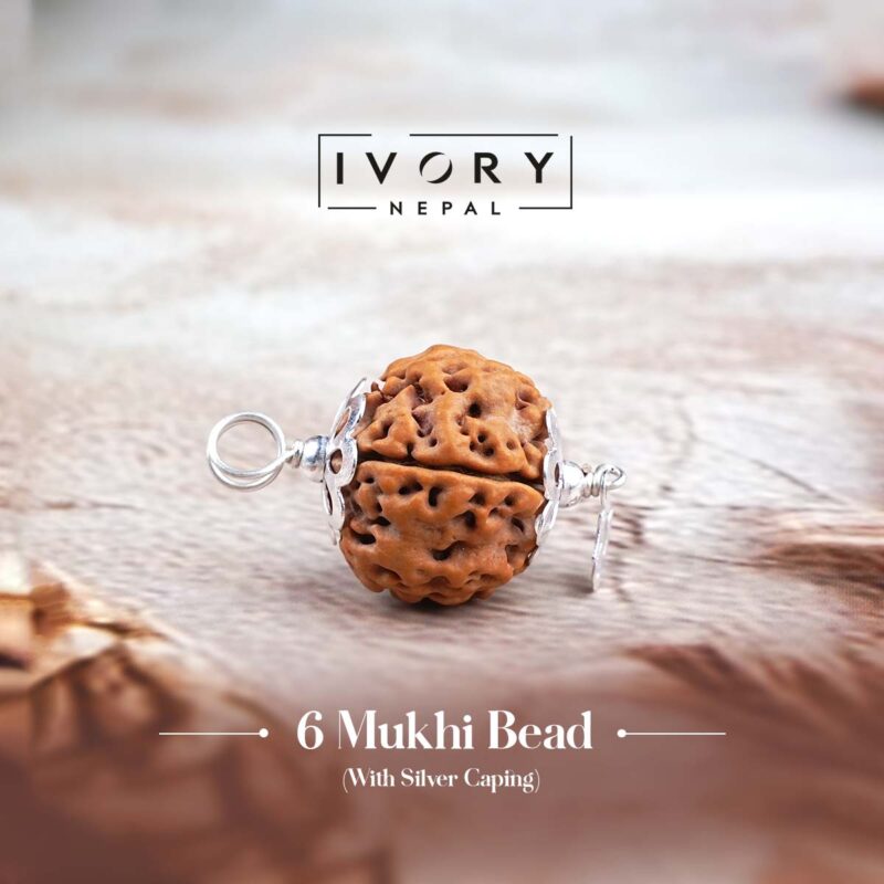 6 Mukhi Rudraksha Pendant