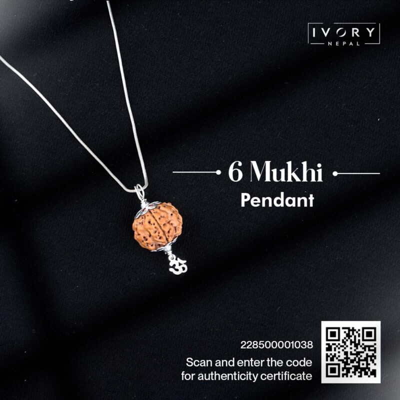 6 Mukhi Rudraksha Pendant - Image 3