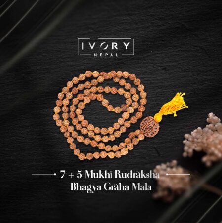 7 + 5 Mukhi Rudraksha Bhagya Graha Mala