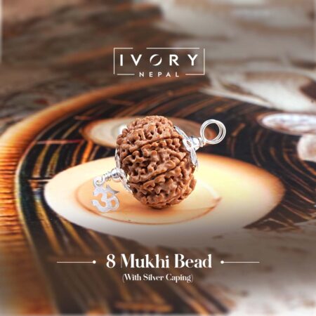 8 Mukhi Rudraksha Pendant