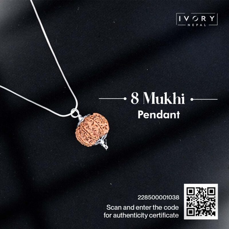 8 Mukhi Rudraksha Pendant - Image 3