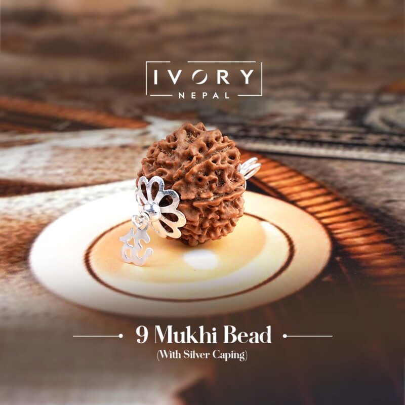 9 Mukhi Rudraksha Pendant