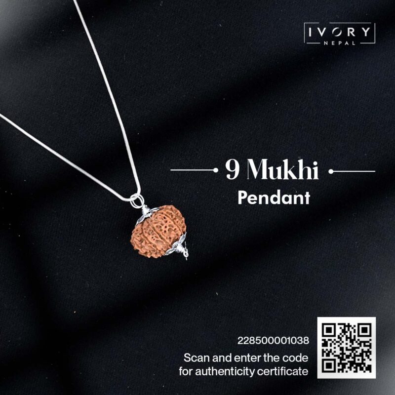 9 Mukhi Rudraksha Pendant - Image 3